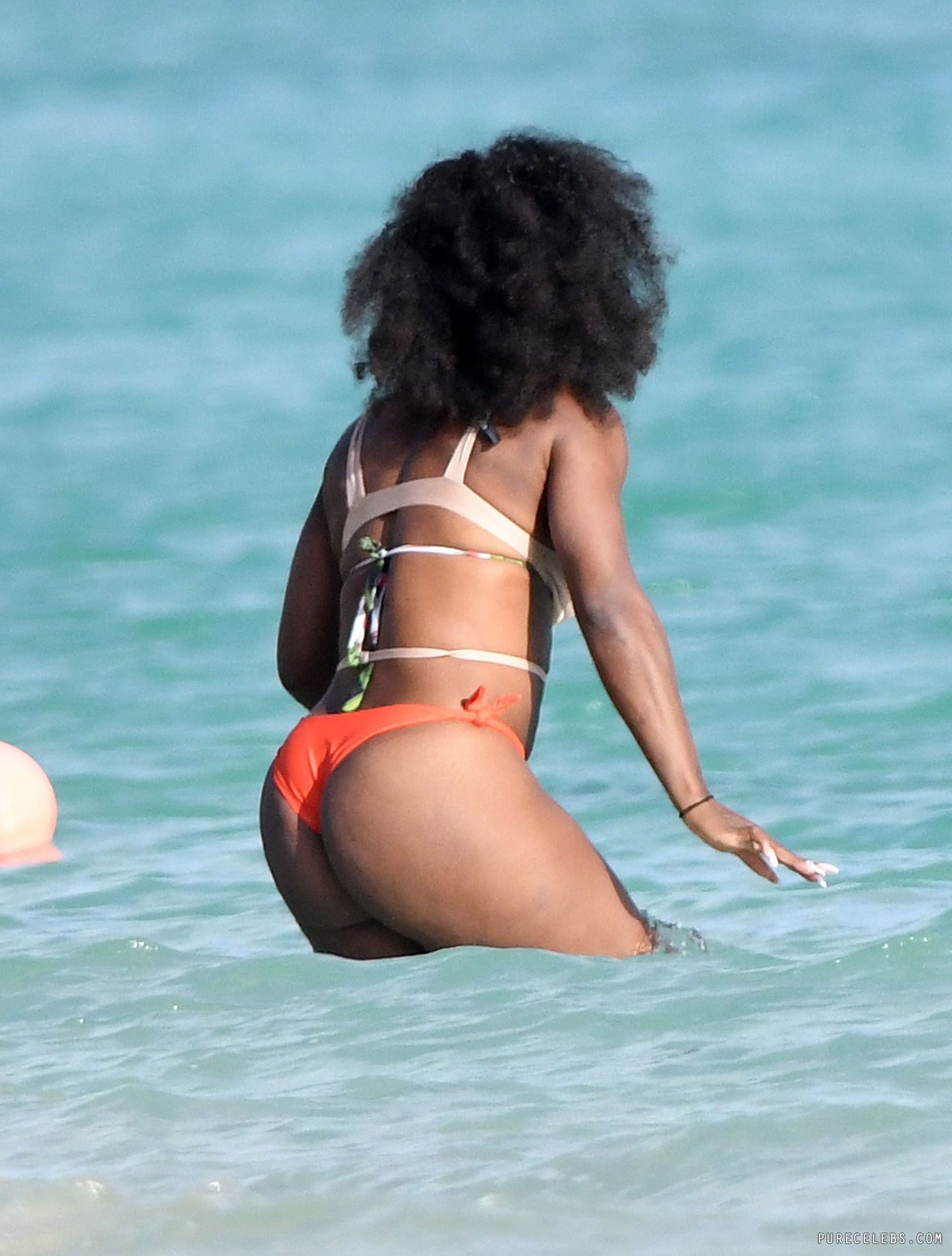 Serena Williams Caught By Paparazzi Flashing Her Massive Butts In Bikini - NuCelebs.com