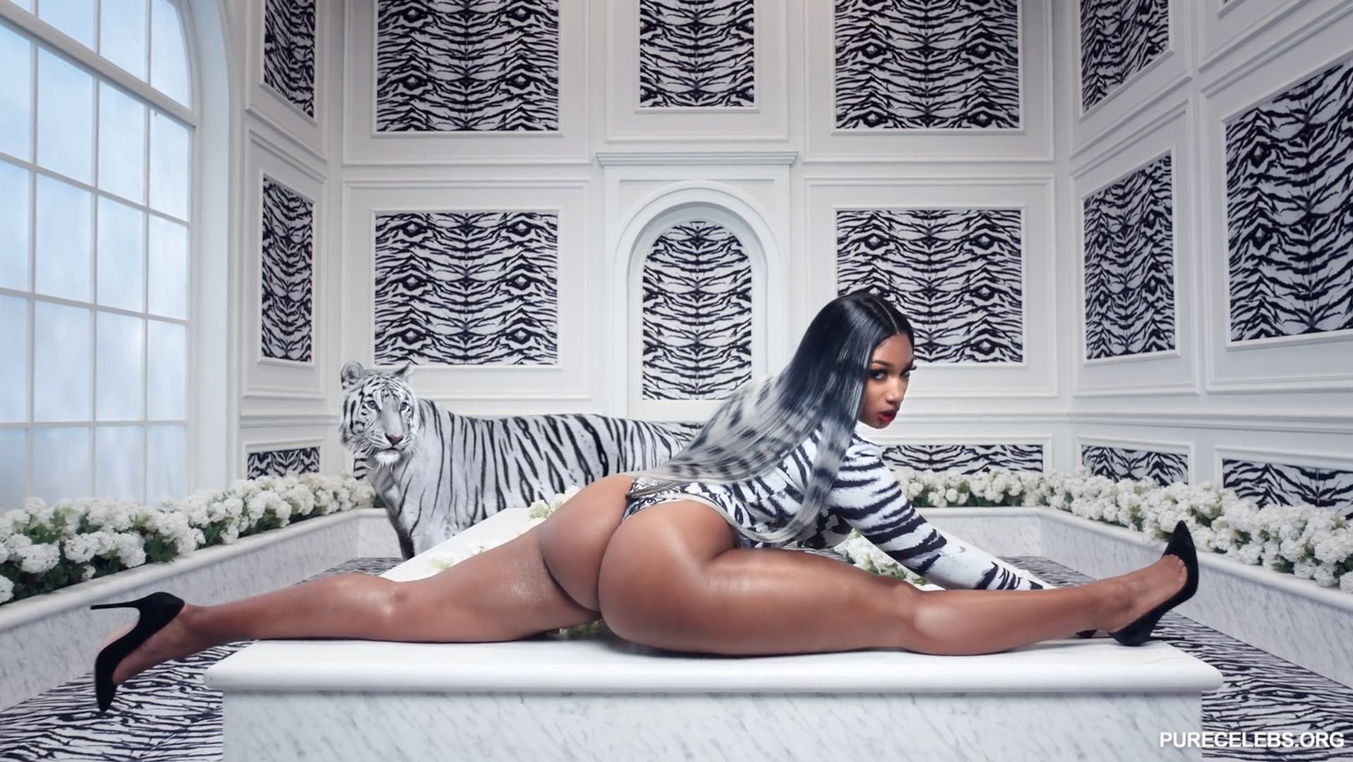 Black Booty Stallion Anal Sex - Cardi B - WAP feat. Megan Big Tits And Booty In Thee Stallion - NuCelebs.com