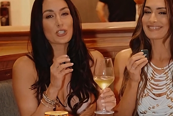 Brie Bella oops and sexy pics
