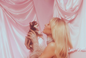 Paris Hilton nude and lingerie photos