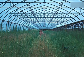 Anja Verderosa Nude And Sex Scenes in Hearts on Fire