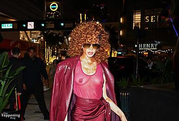 Winnie Harlow Nude And Hot See Through Pics