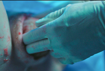 Elle Fanning Nude And Sex Scenes in Margos Got Money Troubles