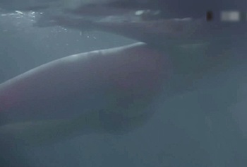 Taylor Momsen Nude And Lesbian Scenes in When I Wake Up