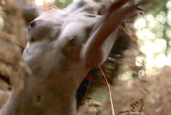 Jessica Reynolds Nude Hairy Pussy Scenes in The Wolf the Fox and the Leopard
