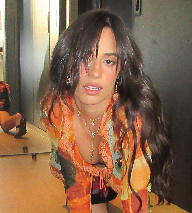 Camila Cabello Bikini And Provocative Selfie Photos