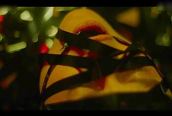 Abigail Hardingham Frontal Nude And Sex Scenes in Custom