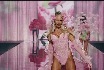 Best Top 5 Celebrity Models During The Victorias Secret Fashion Show 2026